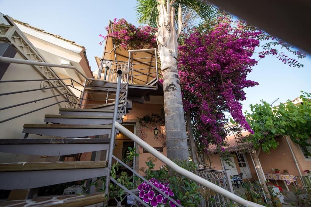 Bougainvillea House 1 卡拉马塔 外观 照片