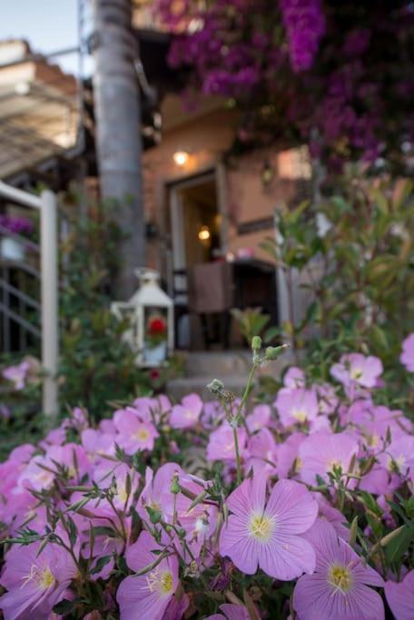 Bougainvillea House 1 卡拉马塔 外观 照片