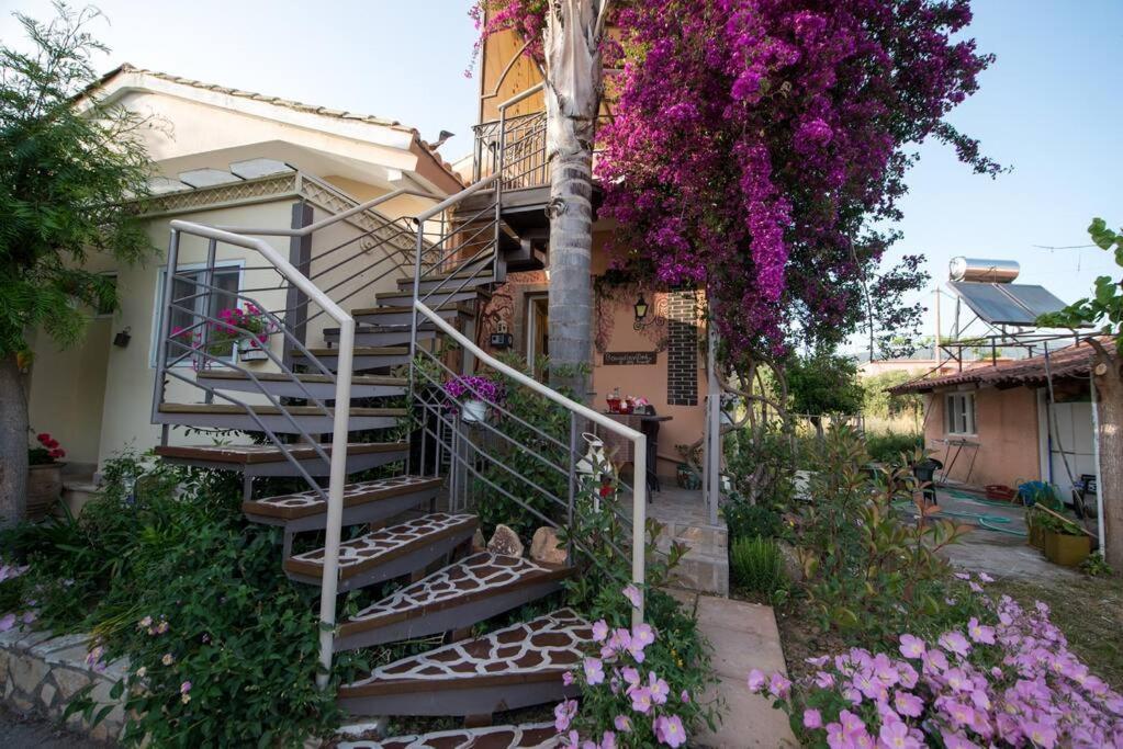 Bougainvillea House 1 卡拉马塔 外观 照片